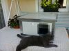 [IF-RH_C1-W] Cușcă cu încălzire infraroșu pentru pisici Thermo RENATO CAT cu geam panoramic (54x38x28cm)