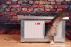 [IF-RH_C1] Cușcă cu încălzire infraroșu Thermo RENATO CAT pentru pisici (54x38x28cm)