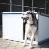 [IF-RH_XS] Cușcă câine cu încălzire infraroșu Thermo RENATO mărimea XS (54x42x38cm)