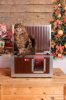 [IF-W-HC1-W] Cușcă cu încălzire infraroșu pentru pisici Thermo WOODY CAT cu geam panoramic (54x38x28cm)