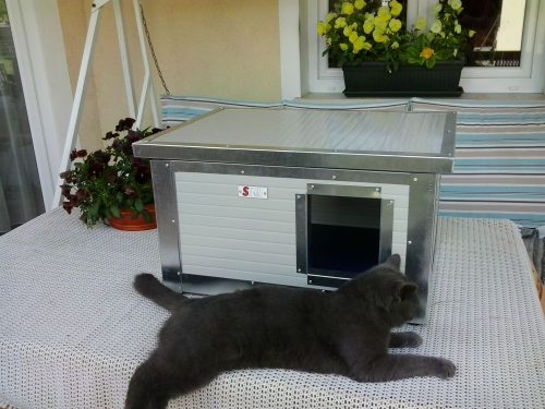 [RH_C1] Cușcă pentru pisici Thermo WOODY CAT (54x38x28cm)