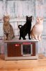 [WH_C1-W] Cușcă pentru pisici Thermo Woody CAT cu geam panoramic (54x38x28cm)